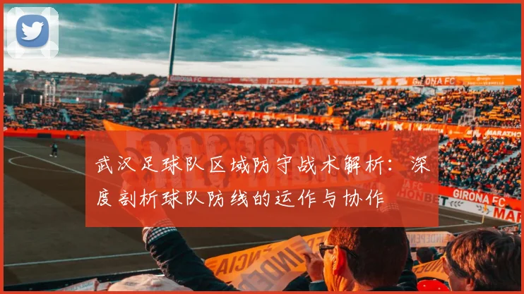 武汉足球队区域防守战术解析：深度剖析球队防线的运作与协作