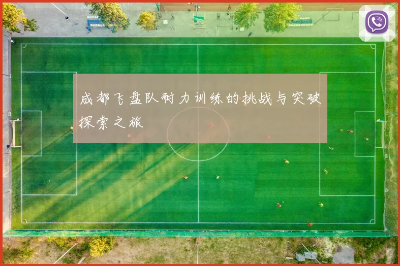 成都飞盘队耐力训练的挑战与突破探索之旅
