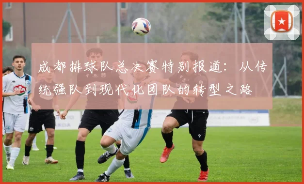 成都排球队总决赛特别报道：从传统强队到现代化团队的转型之路