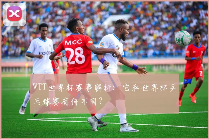 WTT世界杯赛事解析：它和世界杯乒乓球赛有何不同？